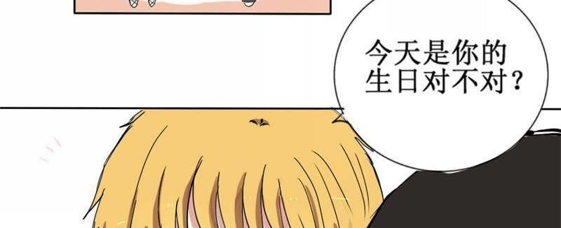 天使亚克13