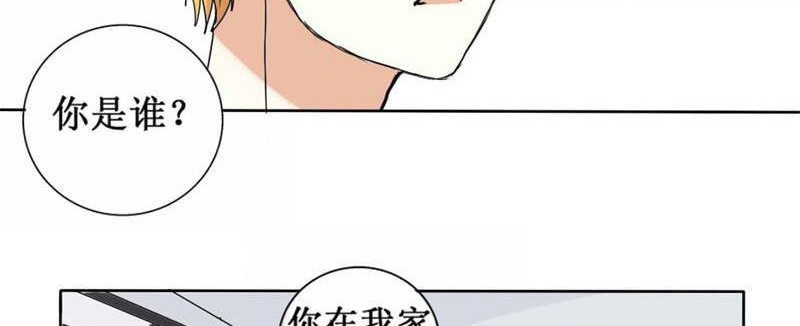 天使亚克43
